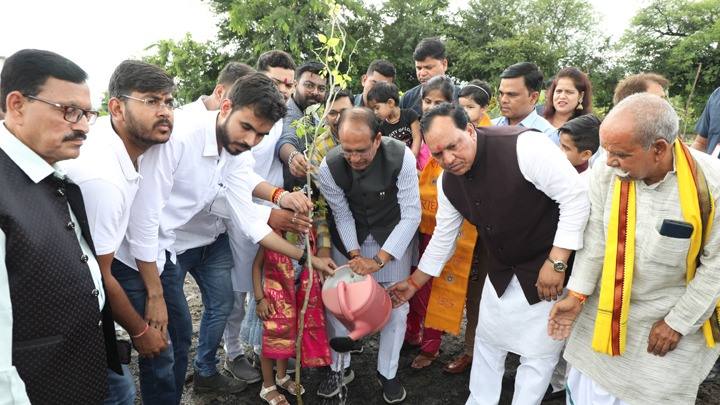 मुख्यमंत्री श्री चौहान के साथ पत्रकारों और सामाजिक कार्यकर्ताओं ने पौधे लगाए